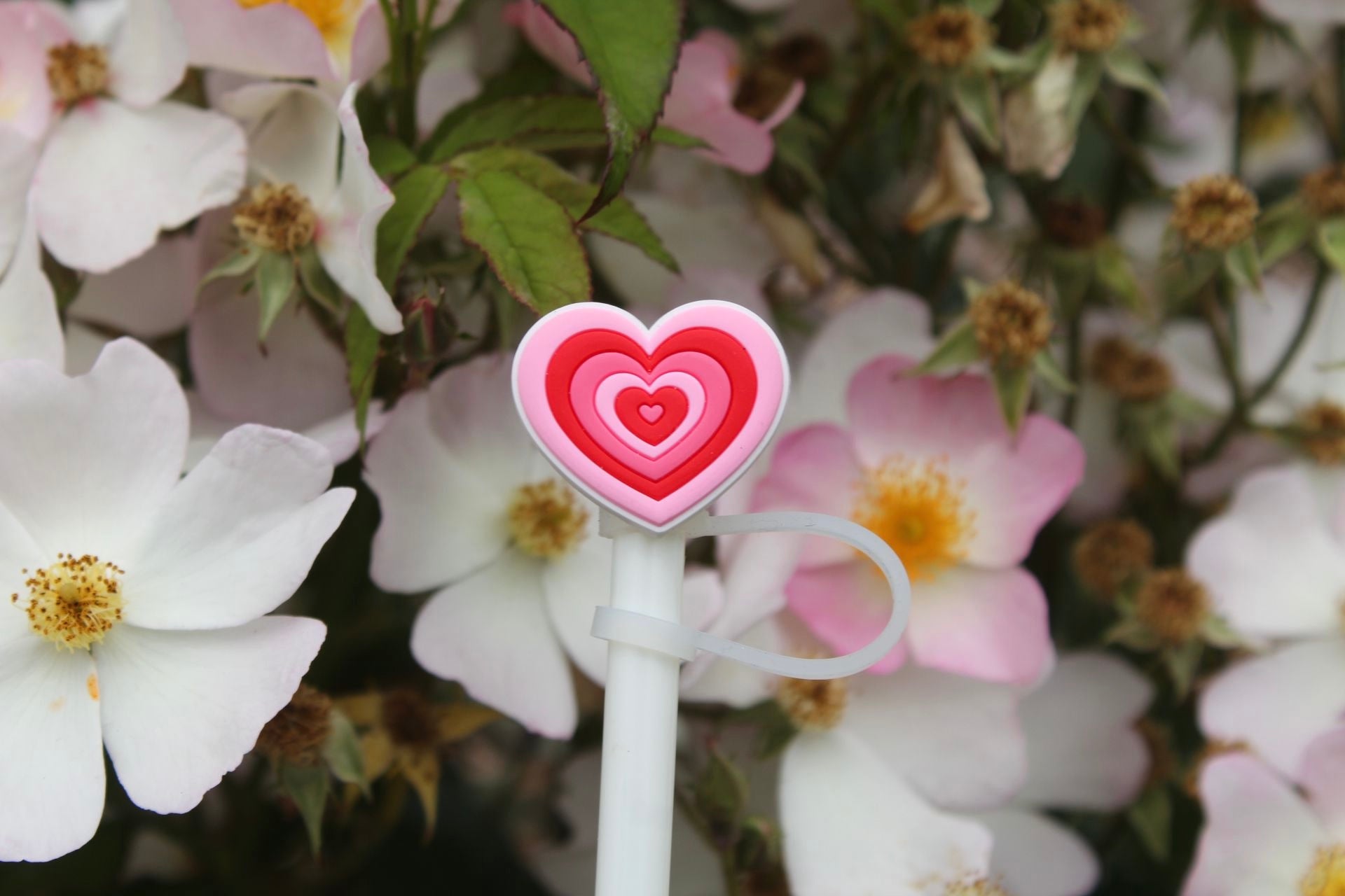 Heart shaped straw cover