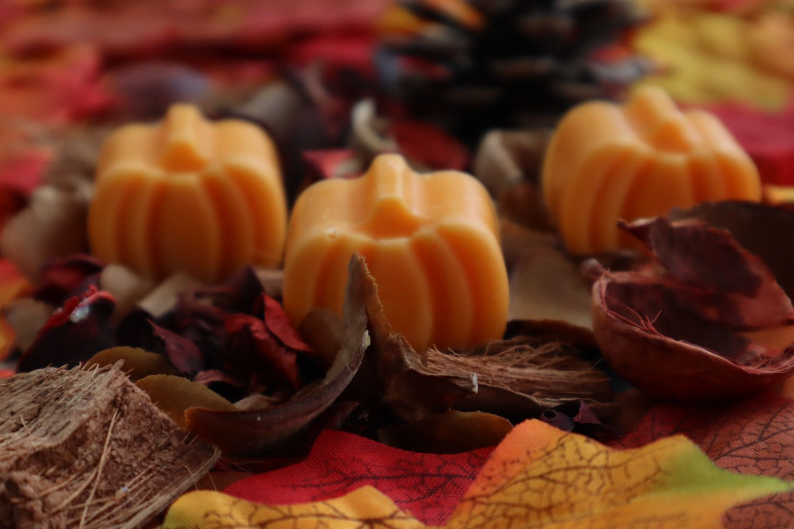 Spiced pumpkin scented waxmelts x3